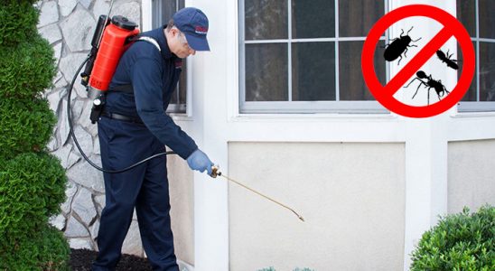 Yamanlar Kemirgen İlaçlama böcek ilaçlama ve haşere kontrolü — ilaclama-tr.com